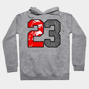 23 Cement Hoodie